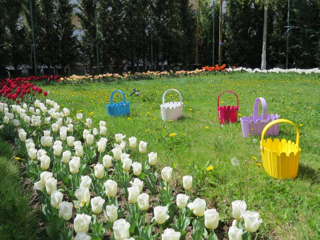 Top Apartments - Yerevan Centre 外观 照片